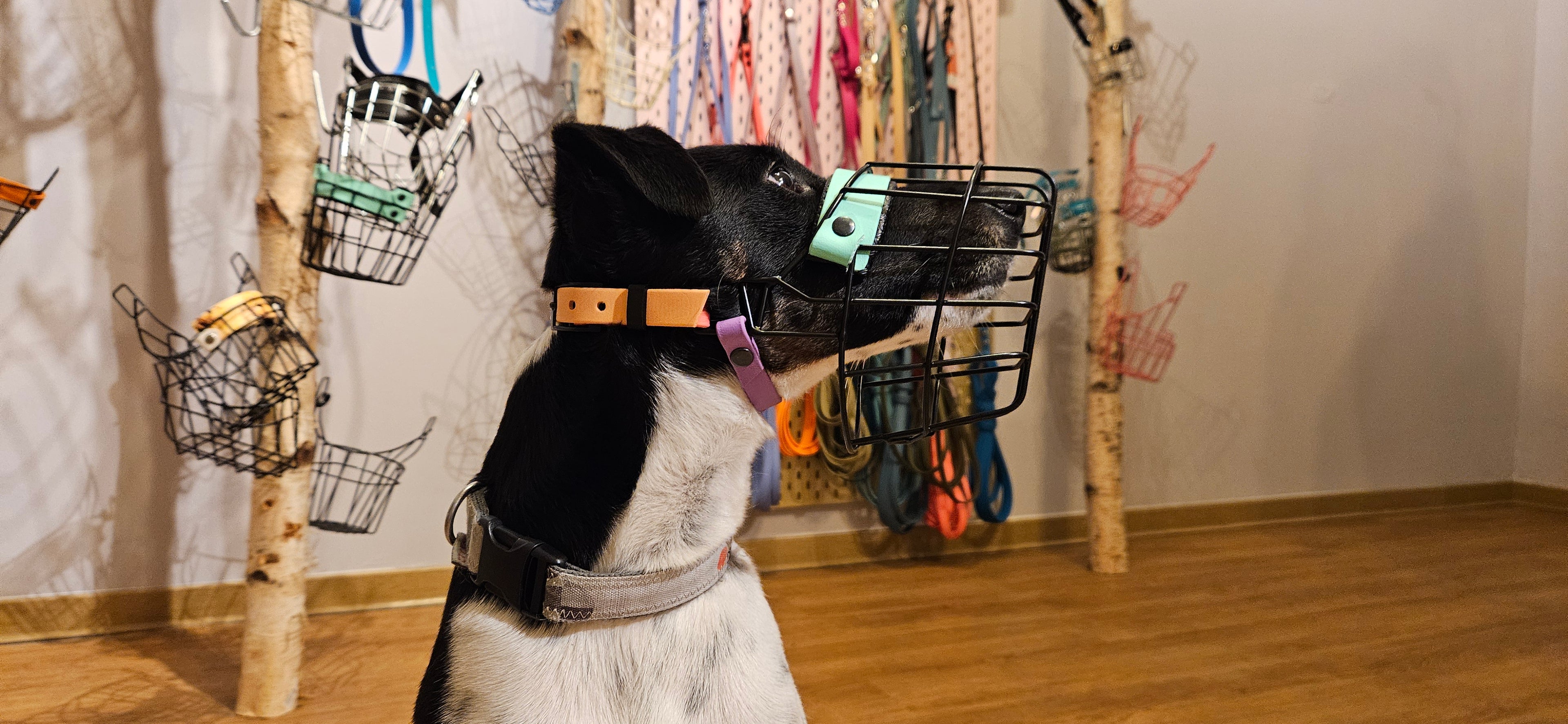 Kehlriemen (verstellbar)