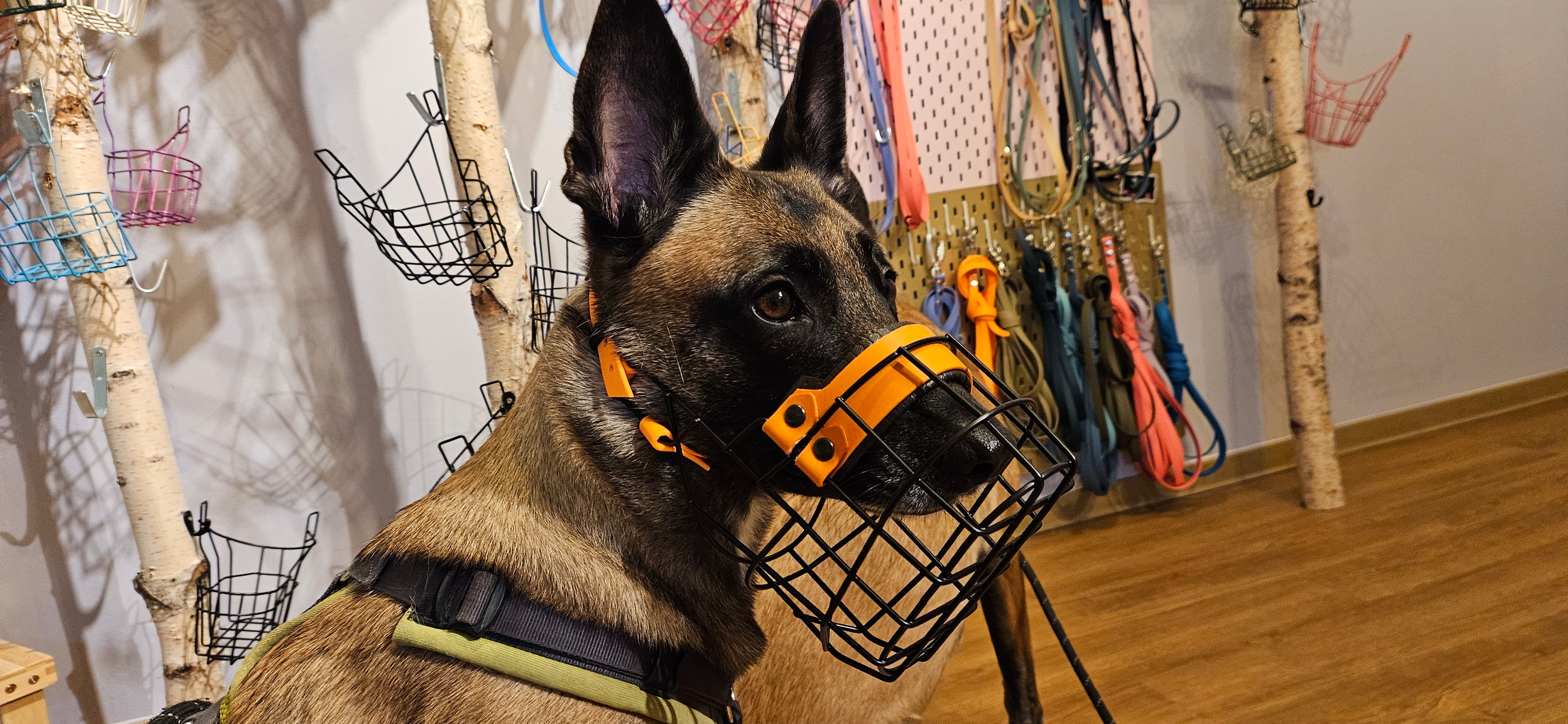 Nasenpolster Breit - 38mm