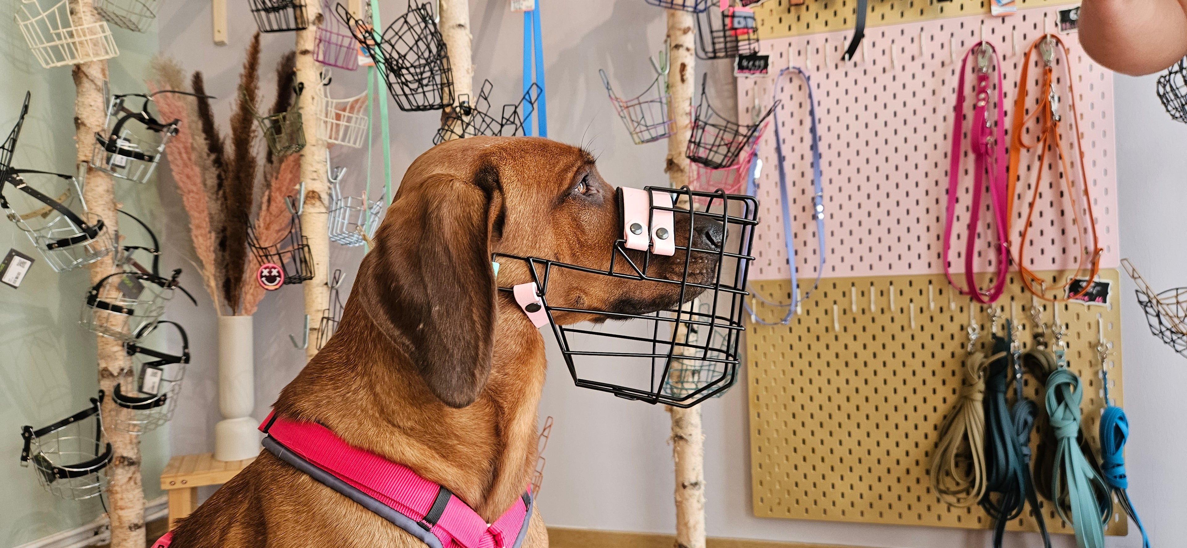 Nasenpolster Breit - 38mm