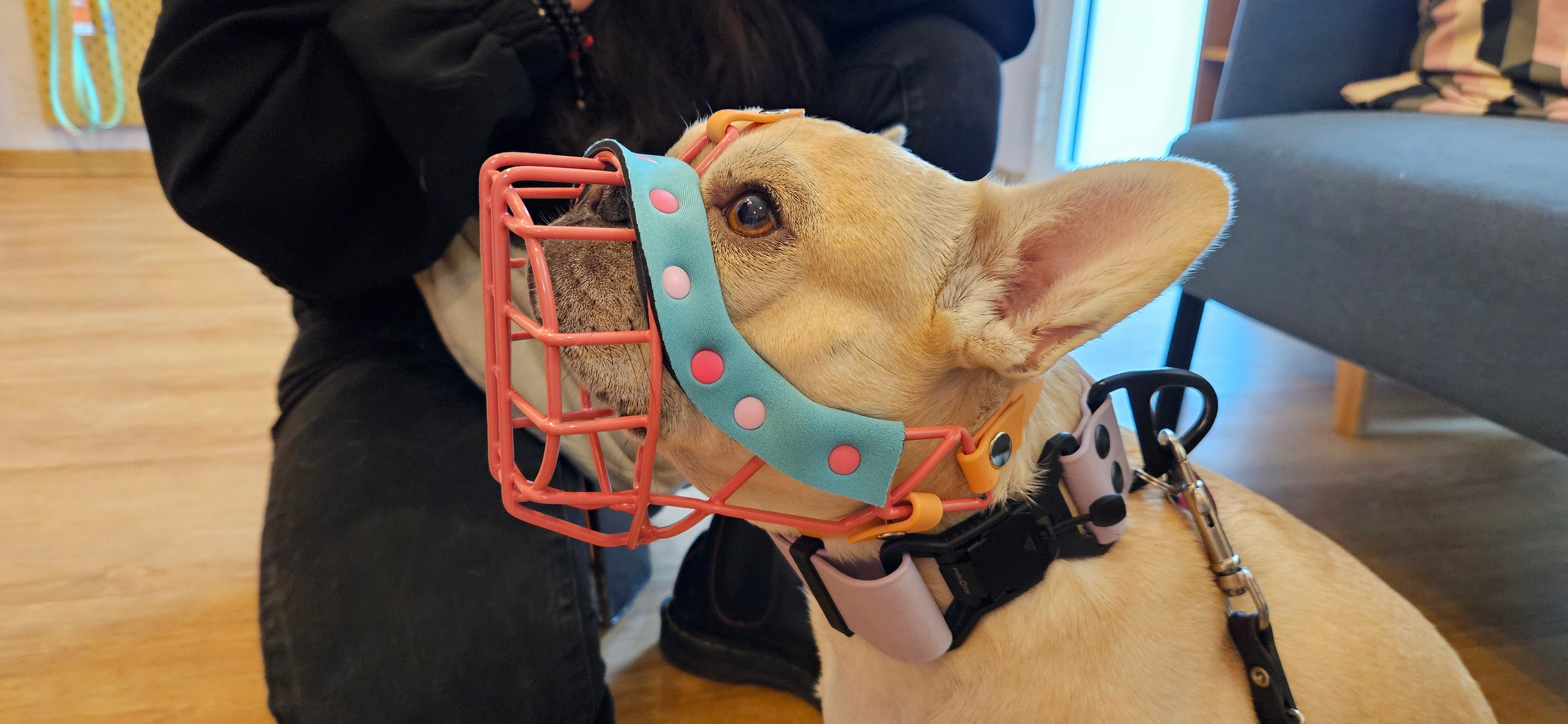 MKA Franz S - Rohling