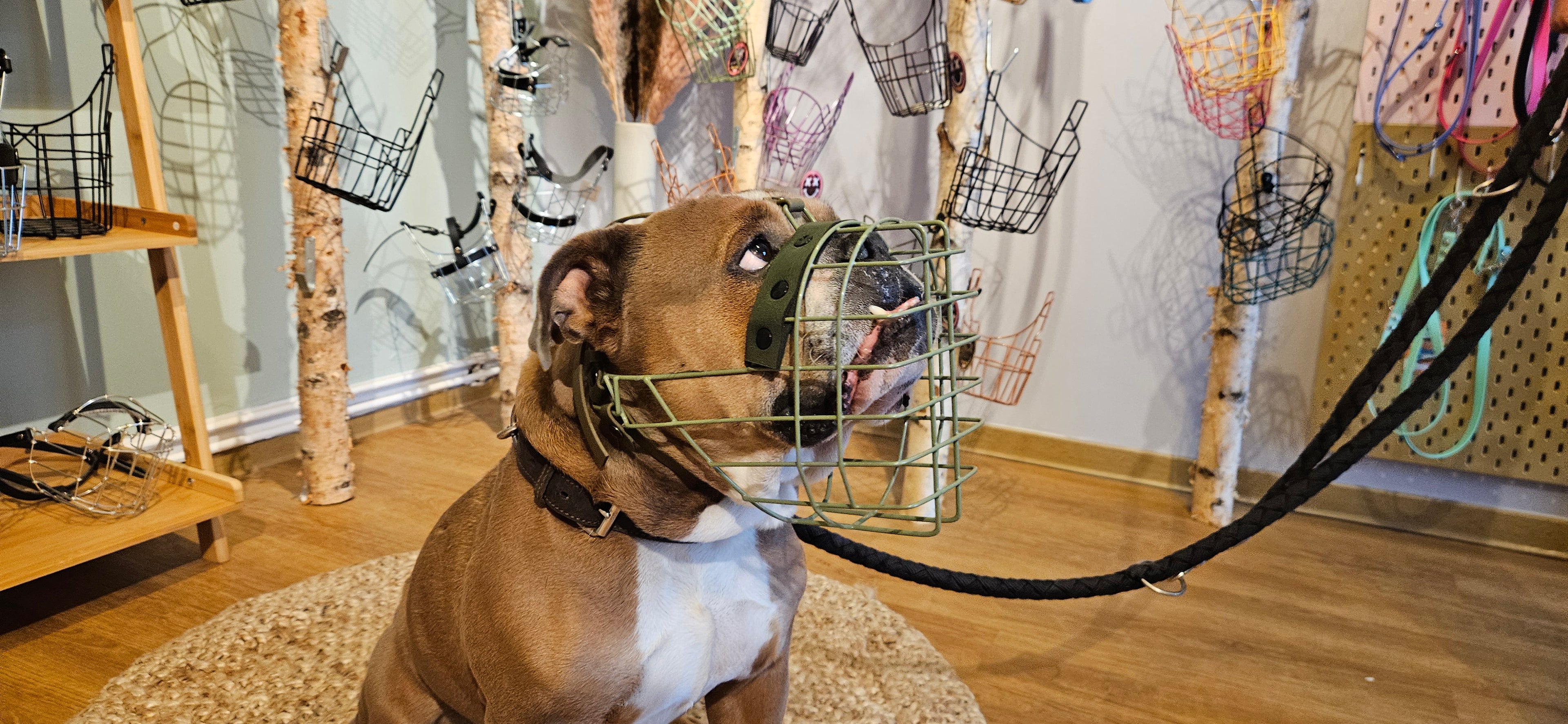 Augenausschnitt u./o. Stirnriemen Halterung - Rohling 