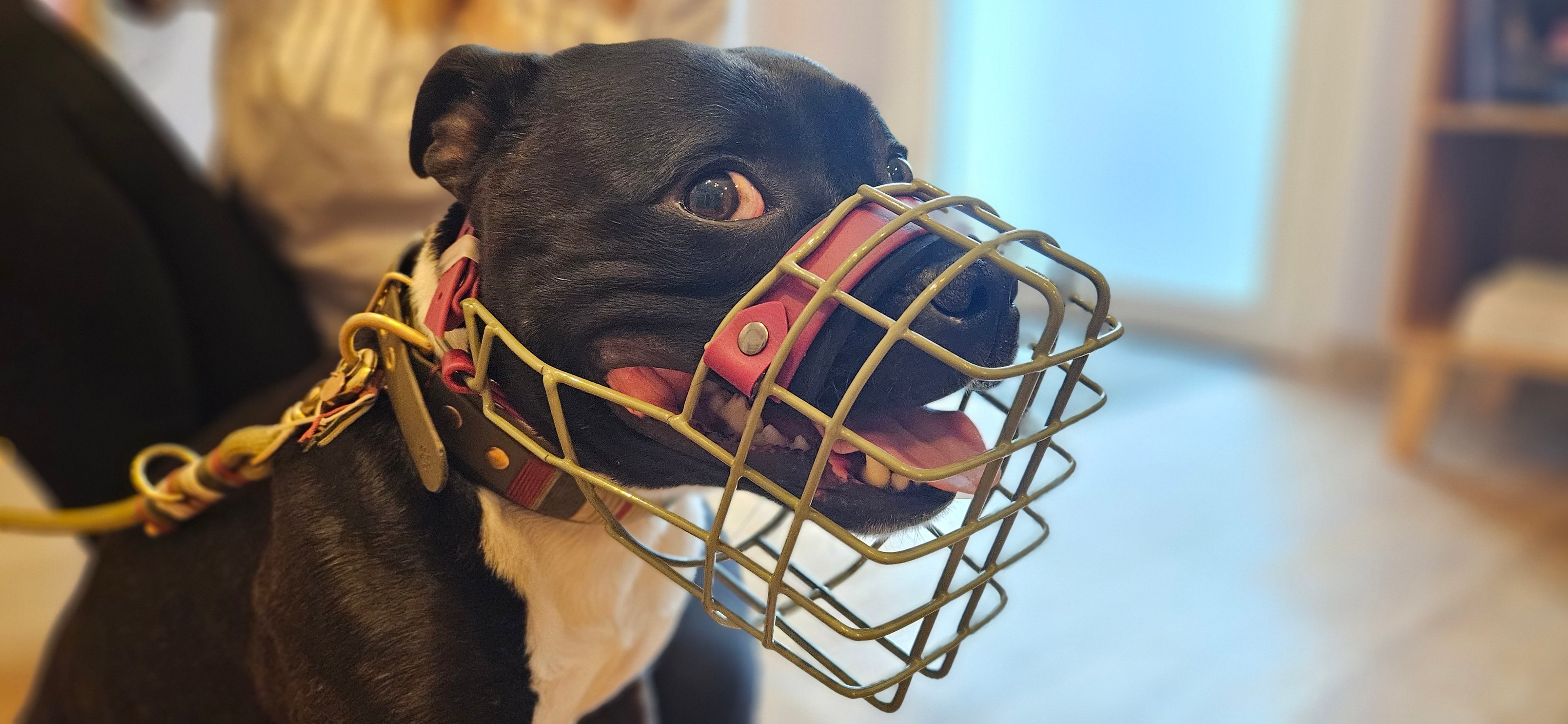 MKA Bullit S - Rohling