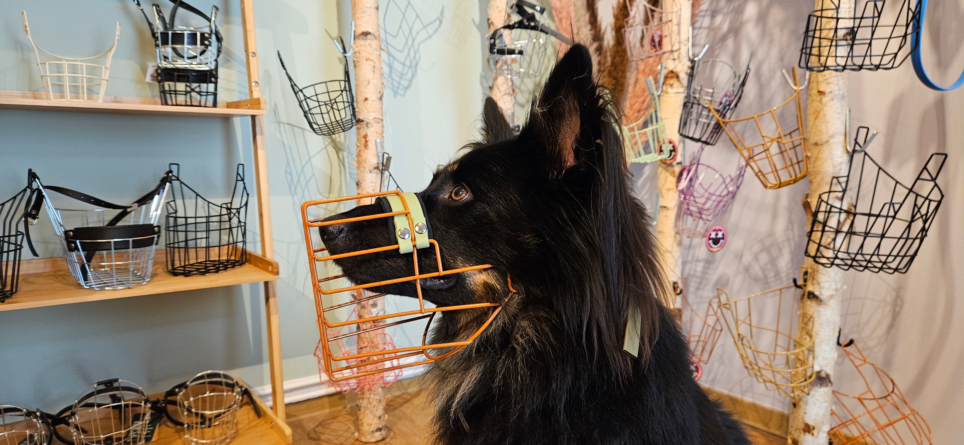 Nasenpolster Schmal - 25mm