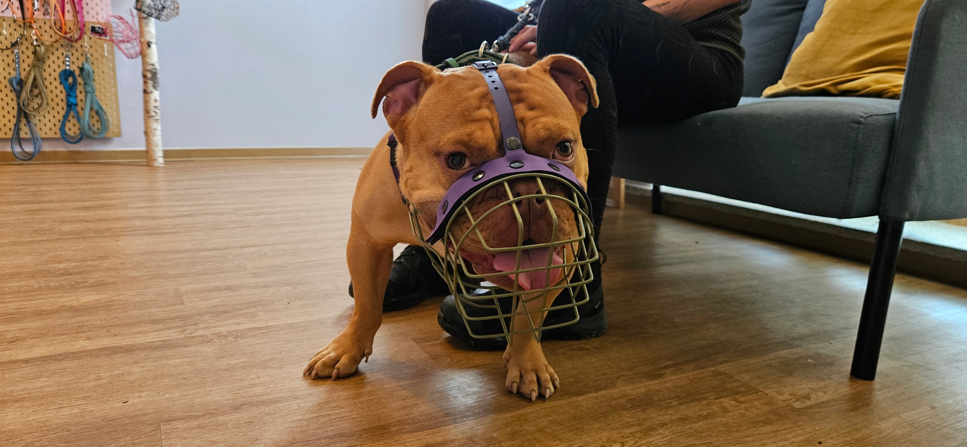 MKA Bullit M - Rohling